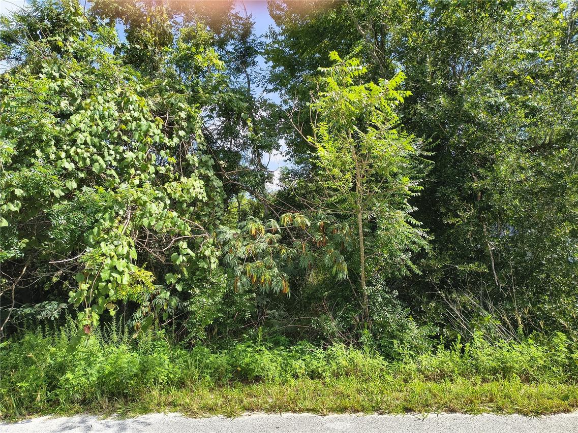 TBD NW 6th Pl., Ocala, FL 34482
