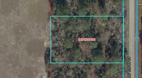 TBD SE 125th Ct., Dunnellon, FL 34431