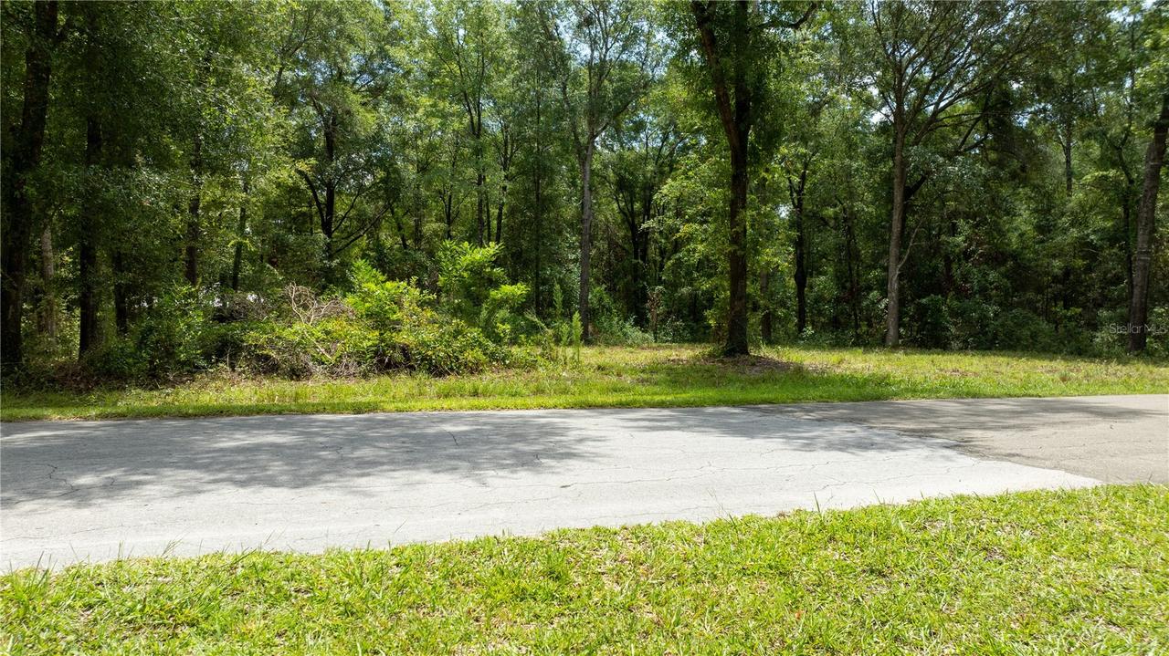 000 NE 155th Ct., Williston, FL 32696