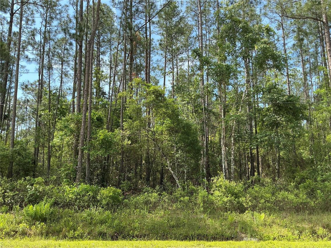 4425 Joyce St., Hastings, FL 32145