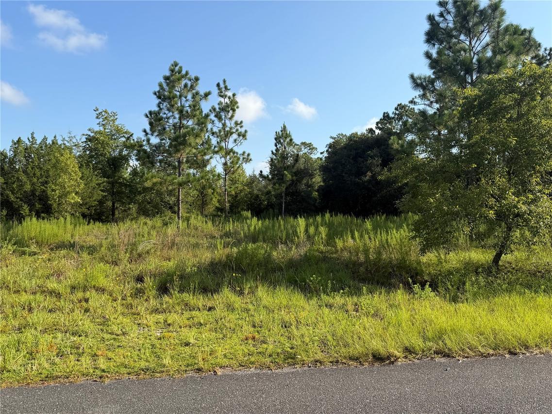 SE 35th St., Morriston, FL 32668
