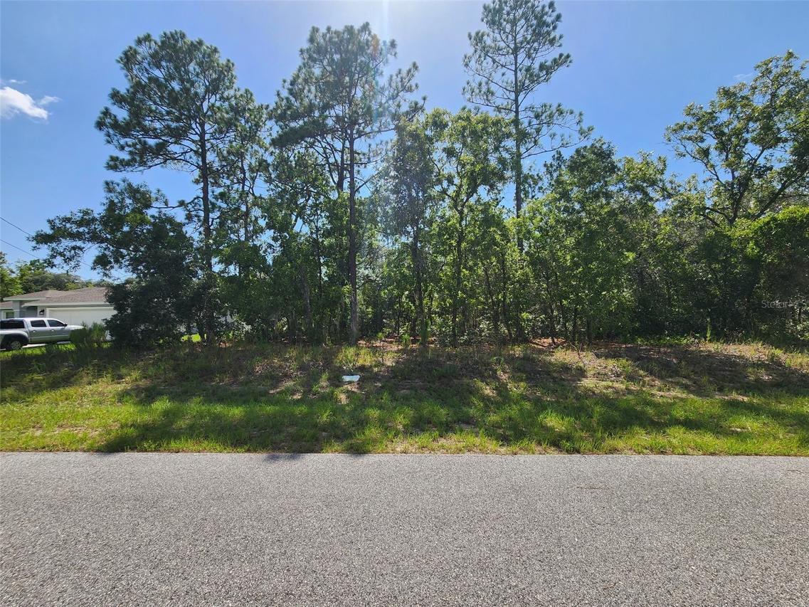 9712 N Lovell Dr, Dunnellon, FL 34433