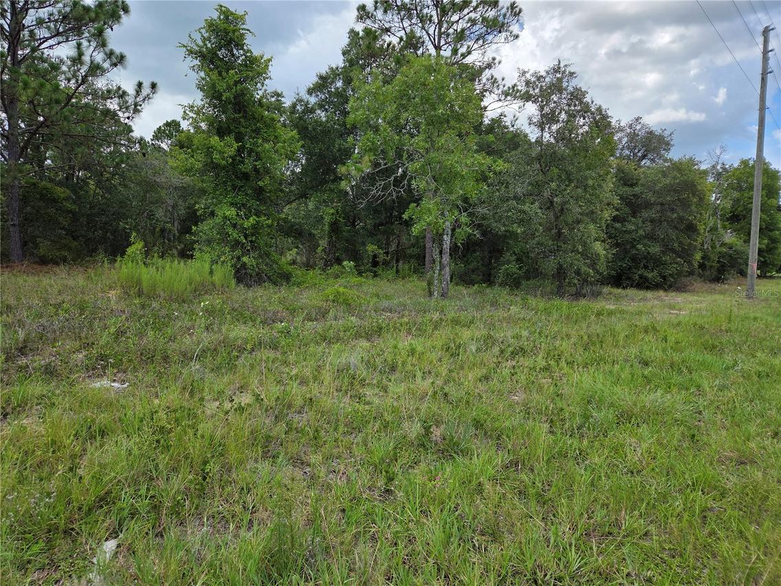 0000 SE State Road 121, Williston, FL 32696