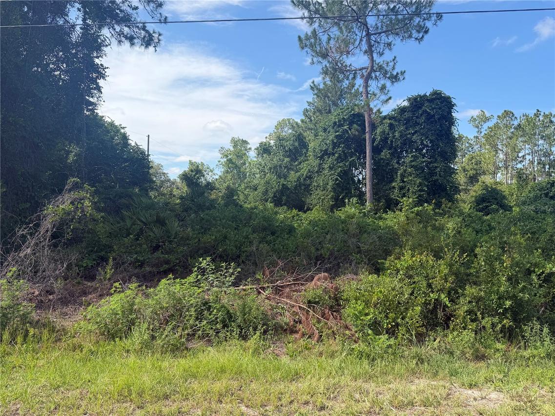 TBD Malauka Ter., Ocklawaha, FL 32179