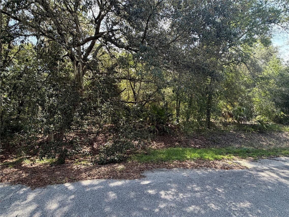 TBD Malauka Pass Tr., Ocklawaha, FL 32179