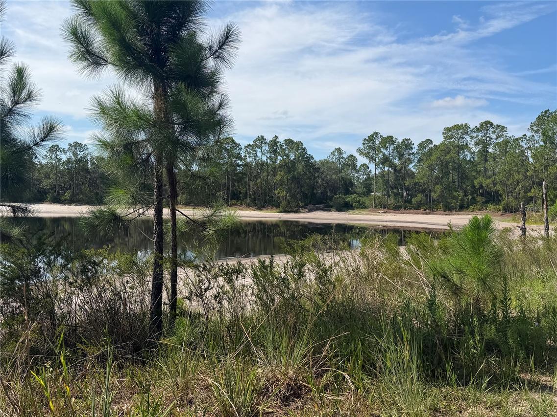 TBD Malauka Pass Tr., Ocklawaha, FL 32179