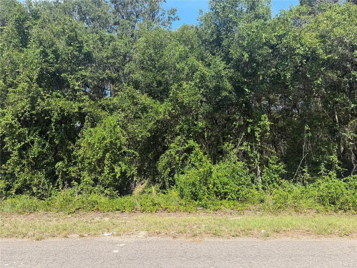 TBD Guava Ter., Ocklawaha, FL 32179