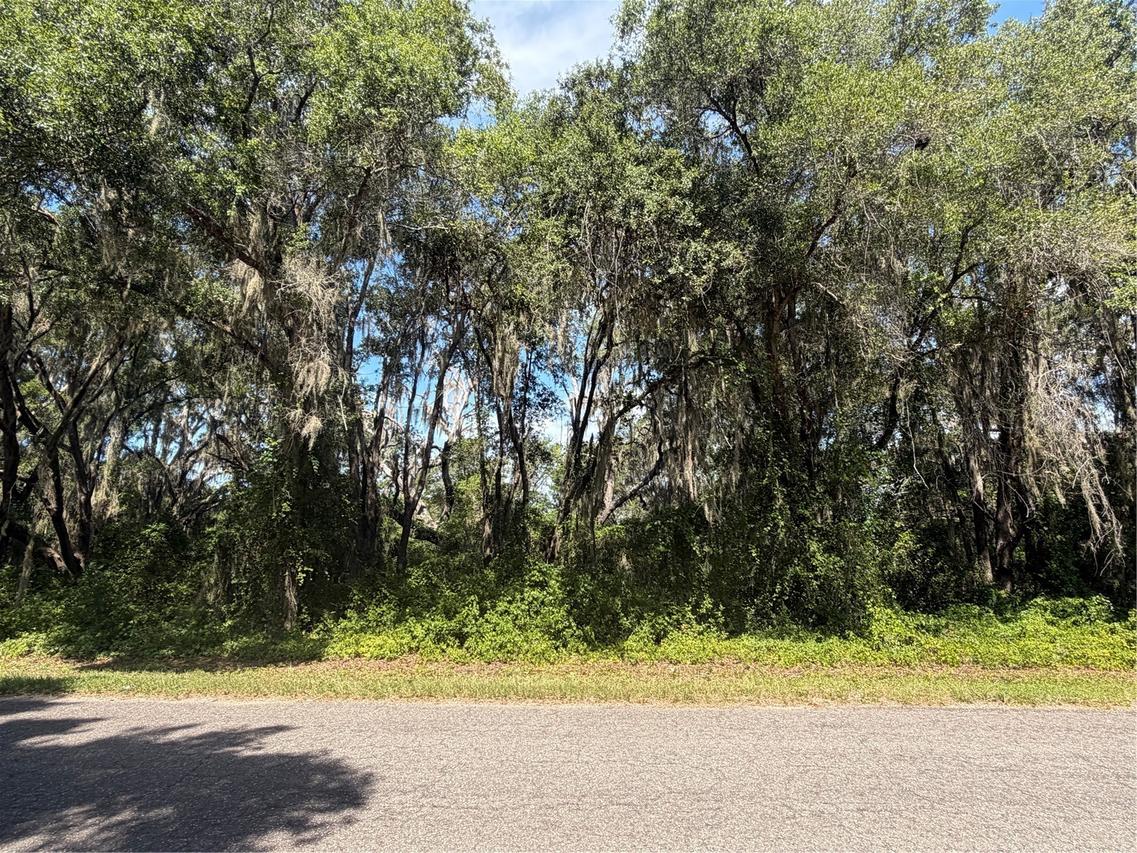 TBD Guava Ter., Ocklawaha, FL 32179