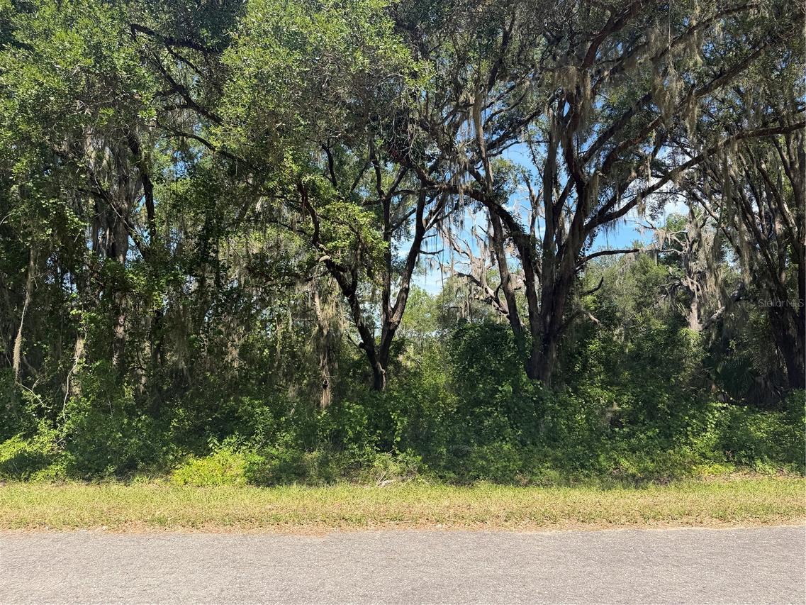 TBD Guava Ter., Ocklawaha, FL 32179