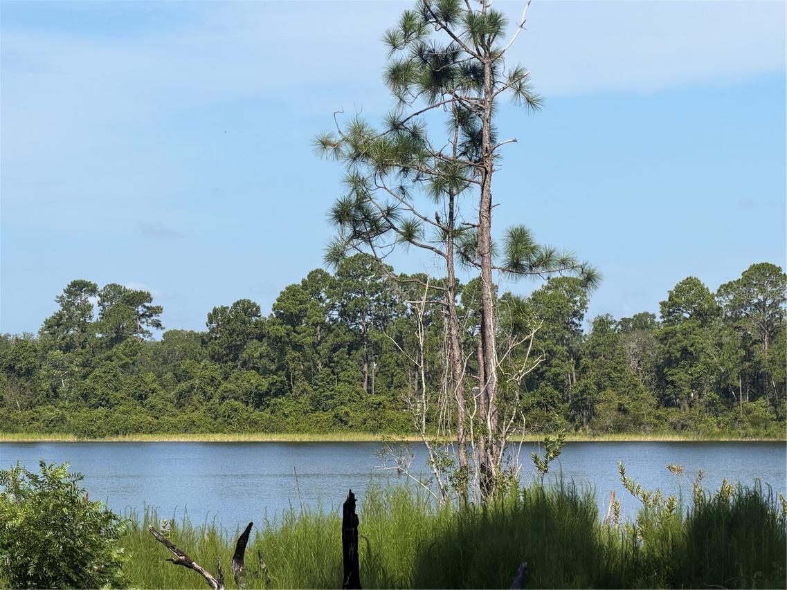 TBD Malauka Radial, Ocklawaha, FL 32179