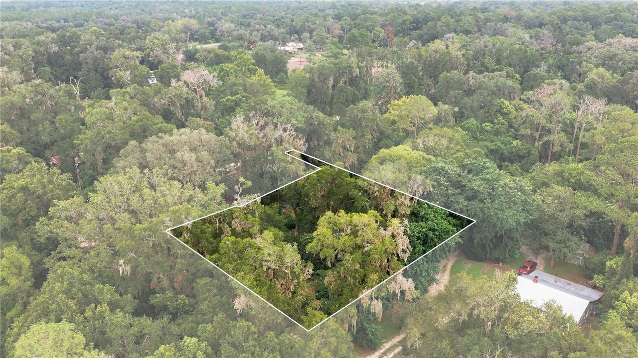 327 SE County Road 234, Gainesville, FL 32641