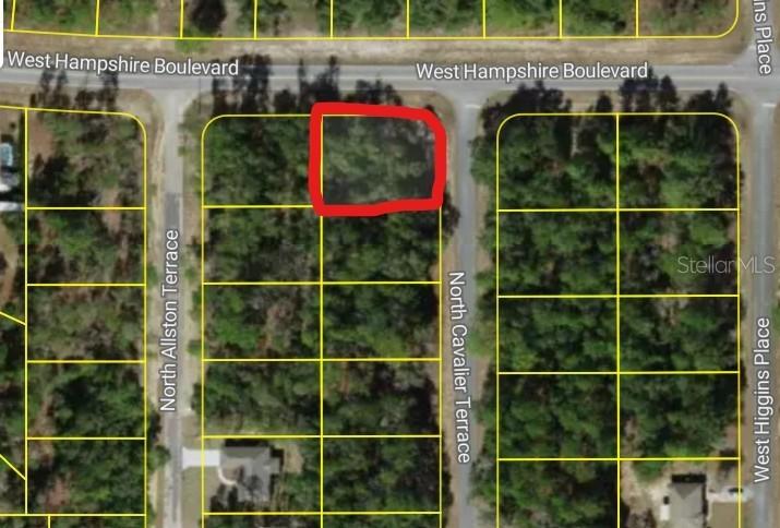 6344 N Cavalier Ter., Citrus Springs, FL 34433