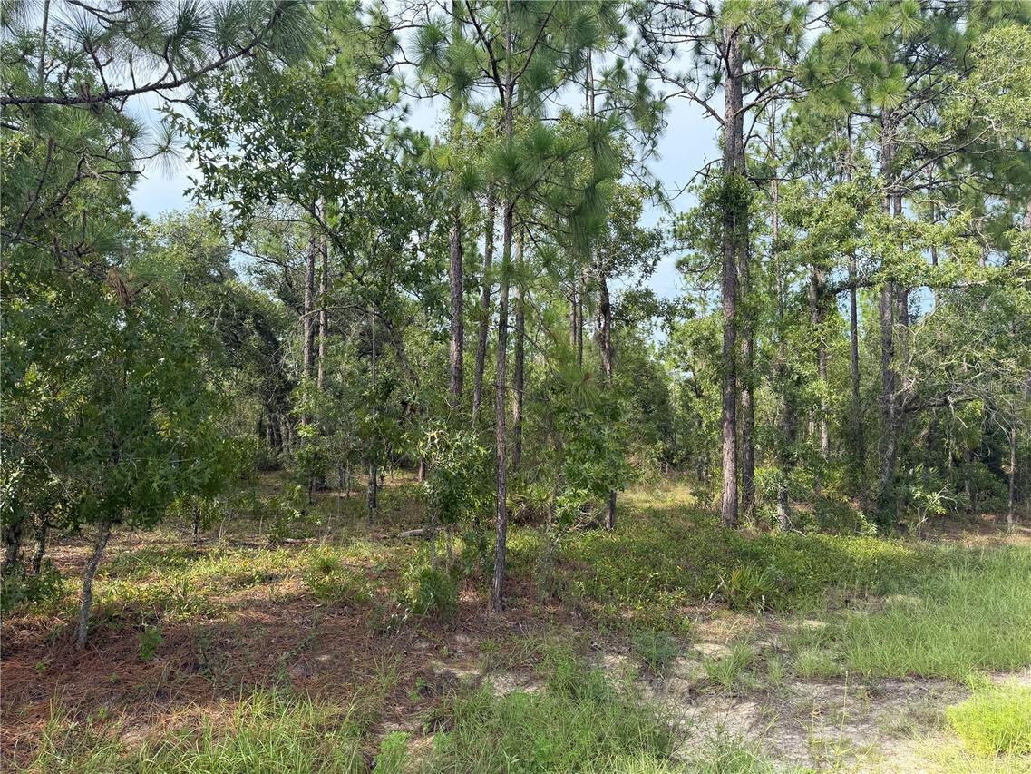 SW 88 St., Dunnellon, FL 34432