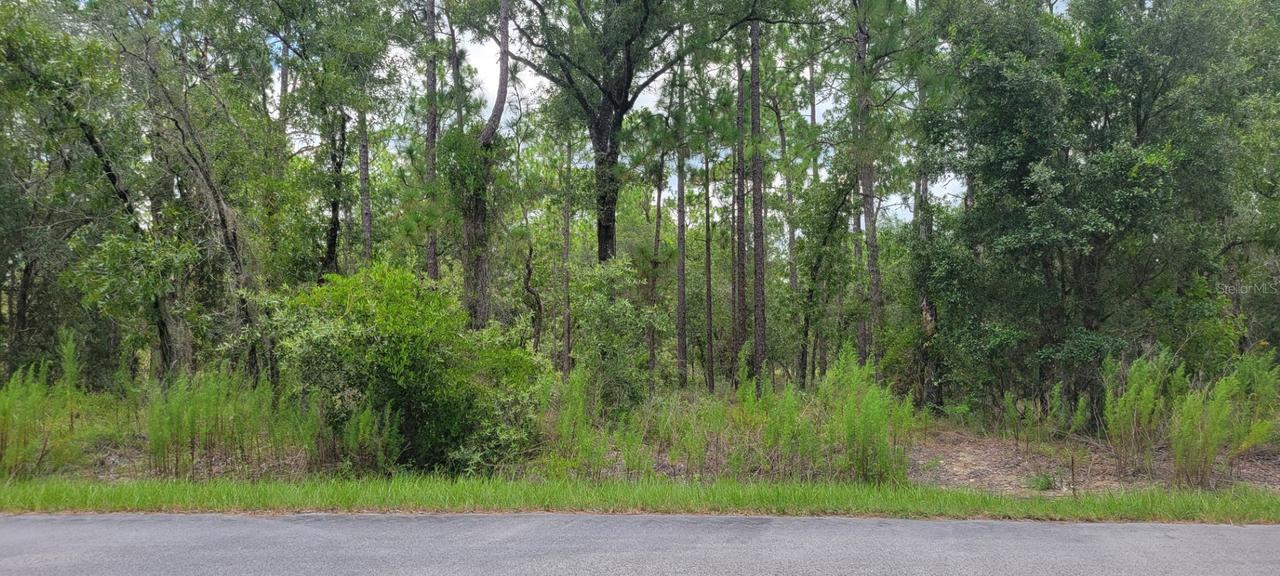 NW Chestnut Ave., Dunnellon, FL 34431