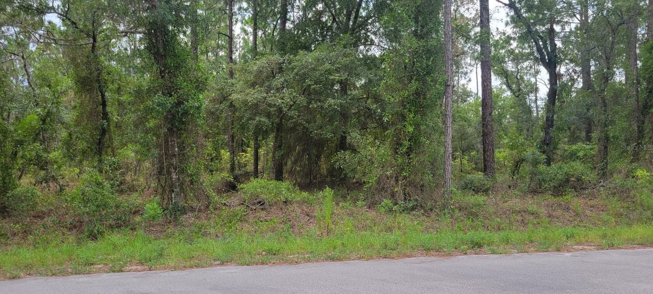 NW Highview Ave., Dunnellon, FL 34431