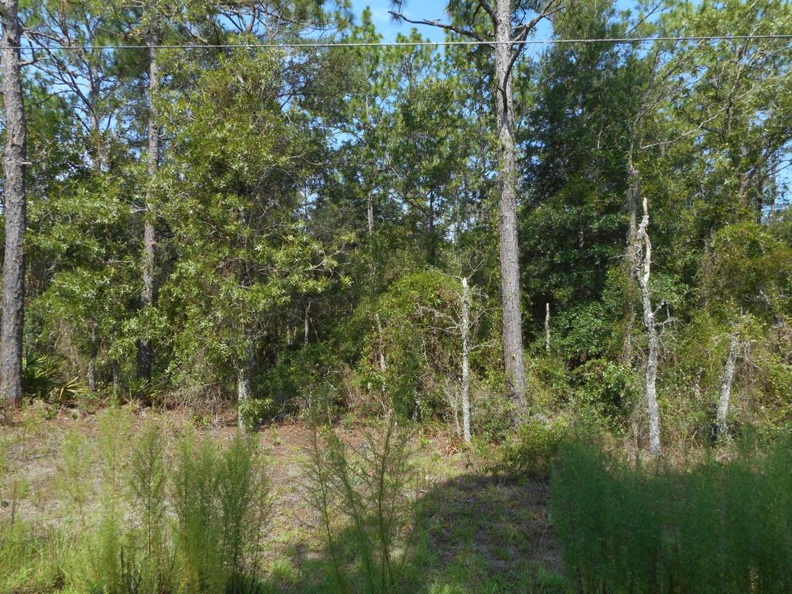 136 Ter., Dunnellon, FL 34432