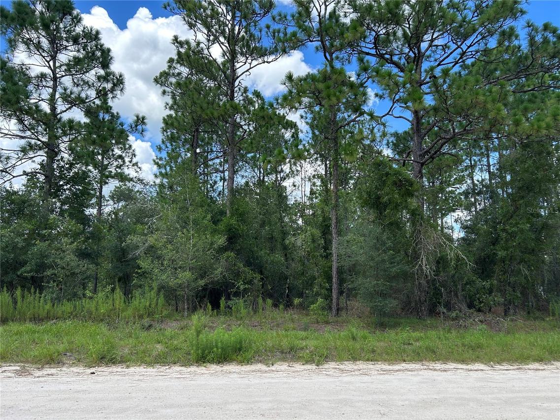 0000 SE 25th St., Morriston, FL 32668