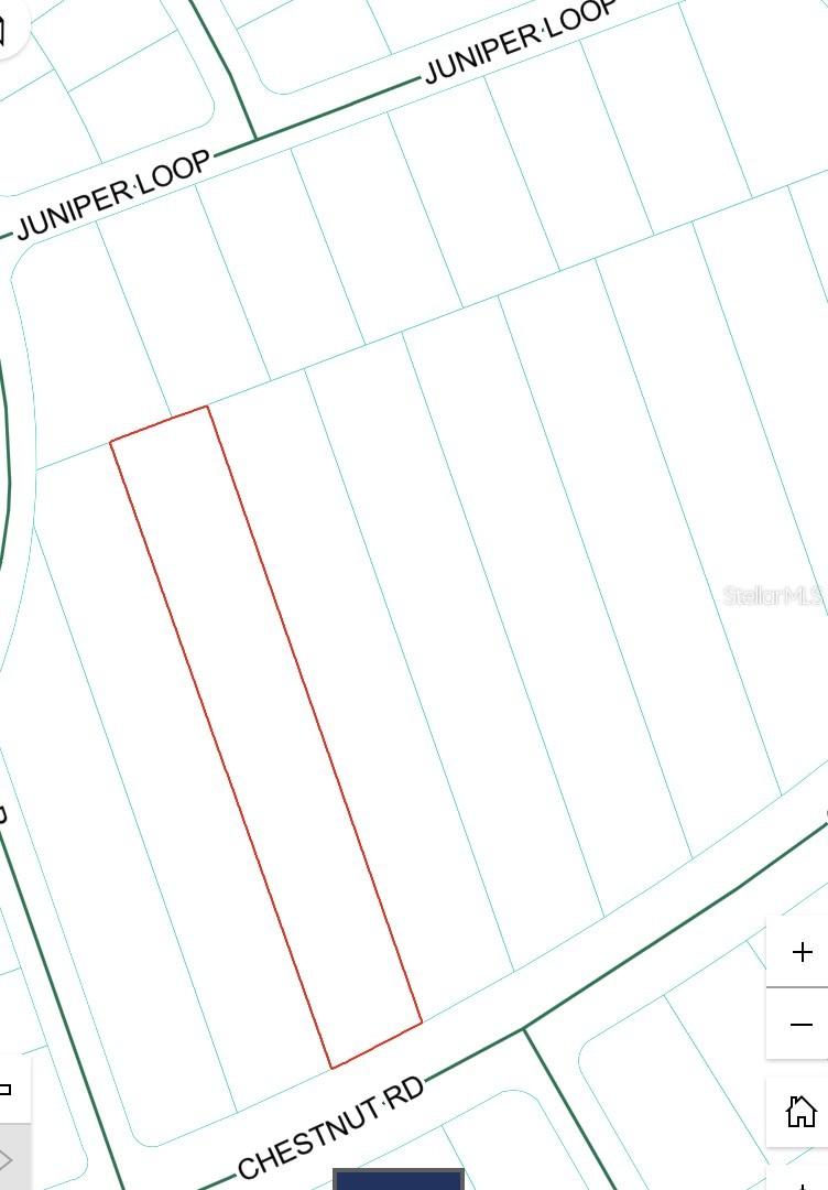 241 Chestnut Rd., Ocala, FL 34480