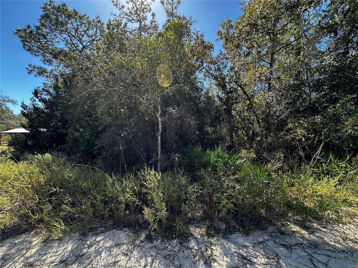 TBD NE 65th Ln., Bronson, FL 32621