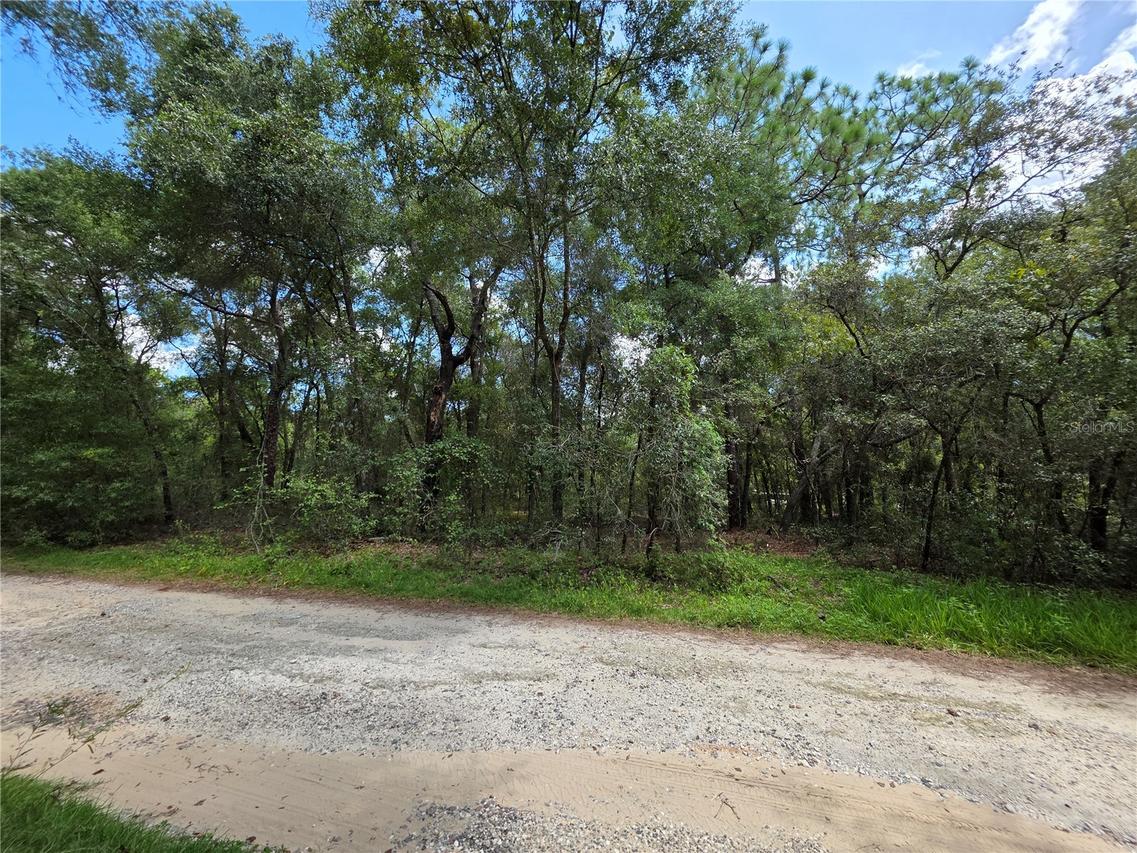 00 SE 105th Ter., Ocklawaha, FL 32179