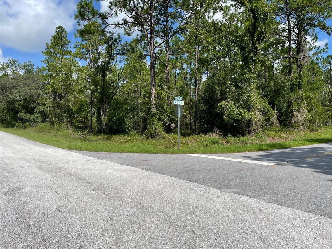 LOT 19 NW Mallard Ave., Dunnellon, FL 34431