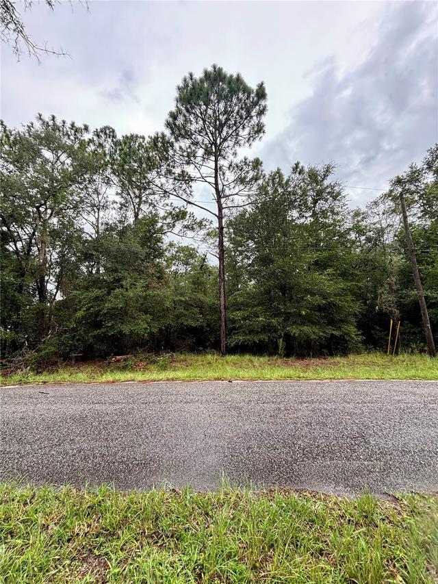 Lot 28 SW 206 Cir., Dunnellon, FL 34431