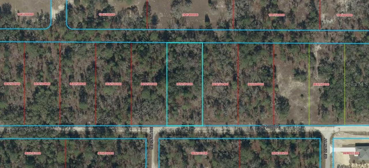 TBD SE 100th Pl., Dunnellon, FL 34431