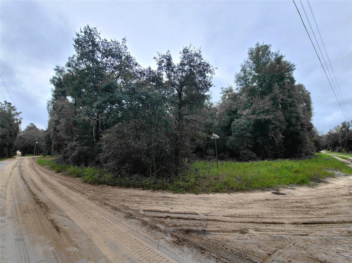 TBD NE 81st Ter Dr., Bronson, FL 32621