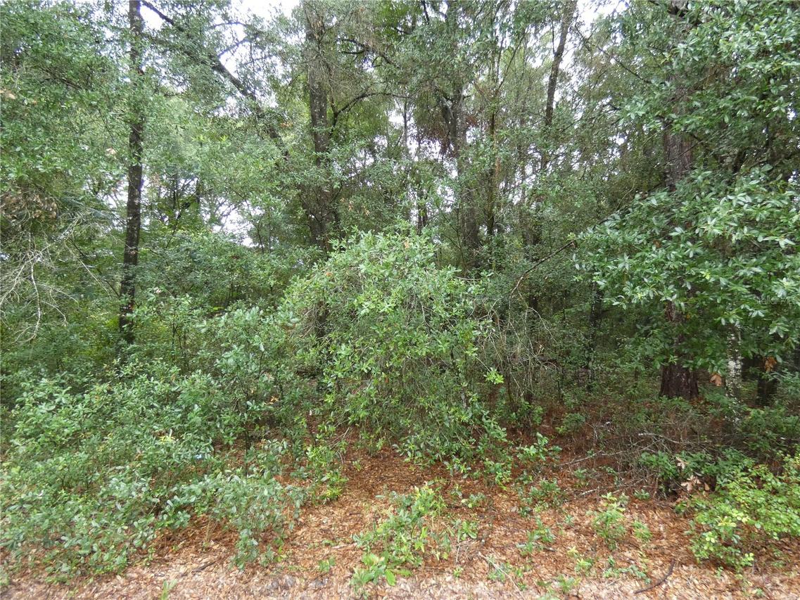 TBD SW 151 St Pl, Dunnellon, FL 34432