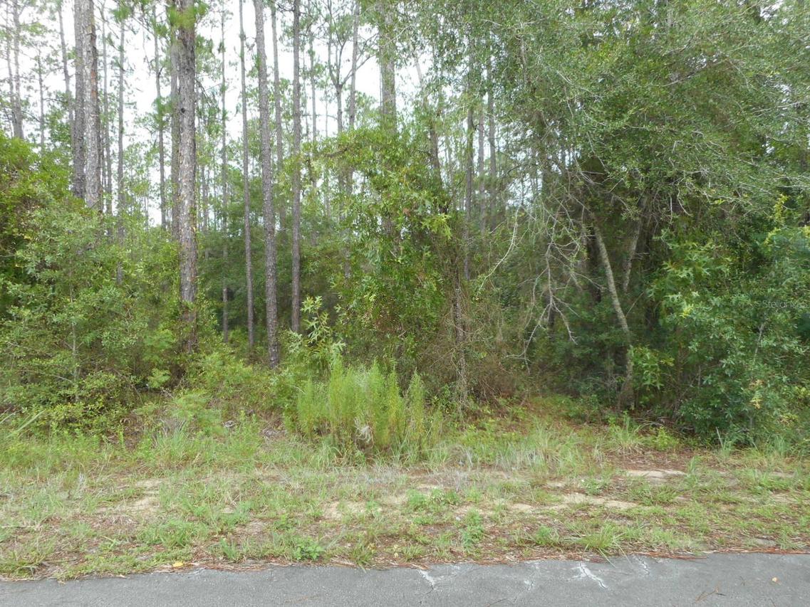 Lot 5 SW Southview Ct., Dunnellon, FL 34431