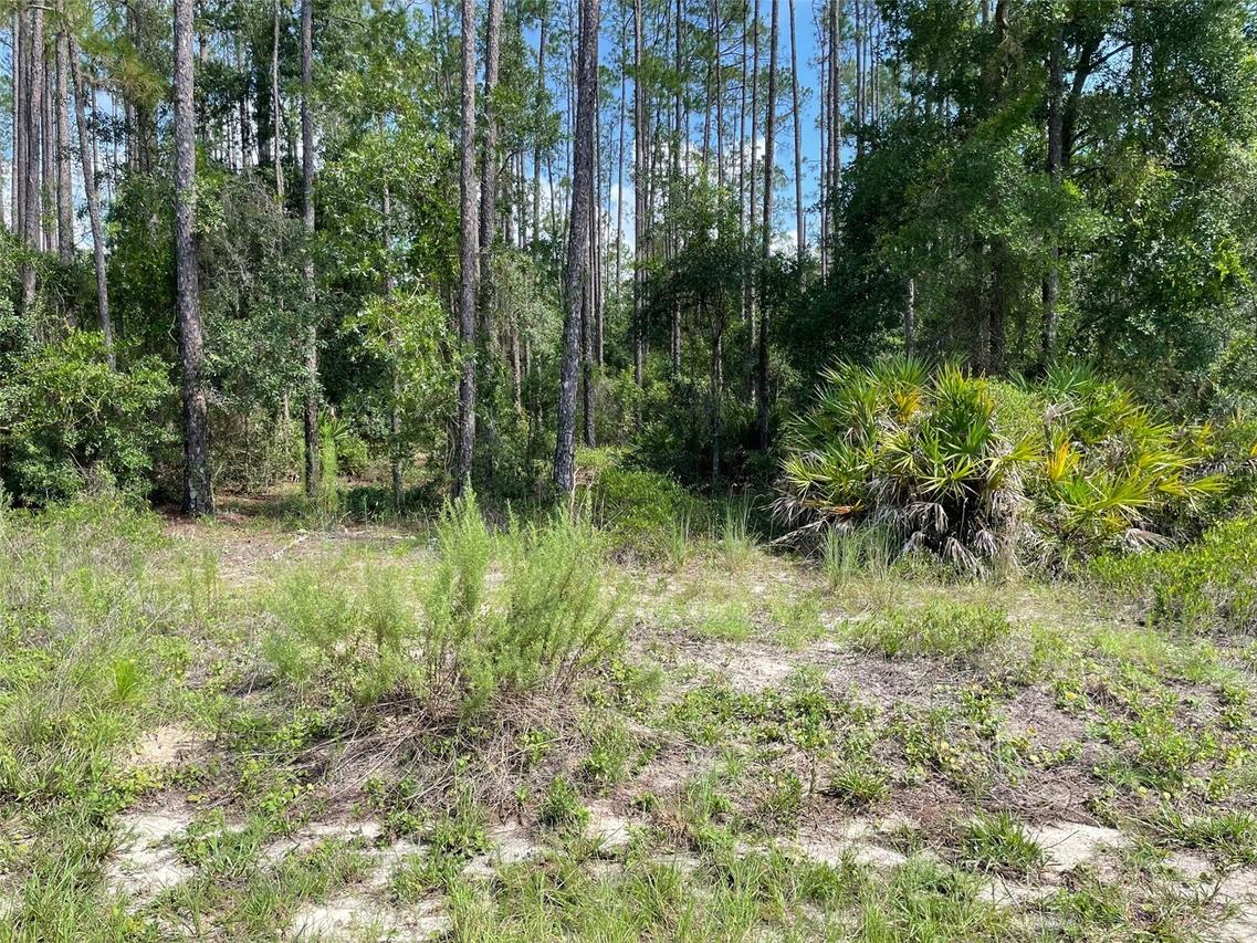LOT 23 SW Tiger Lake Blvd., Dunnellon, FL 34431