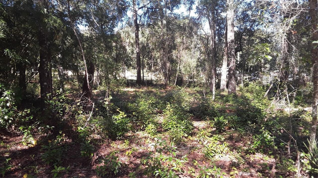 00 NW Chestnut Ave., Dunnellon, FL 34431