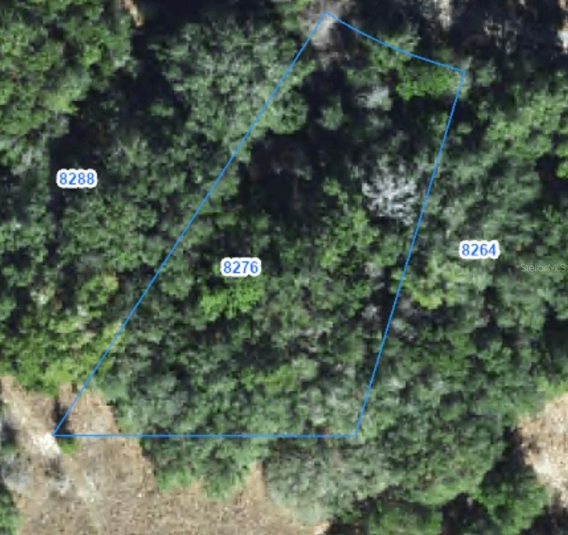 8276 N Elida Ave., Dunnellon, FL 34434