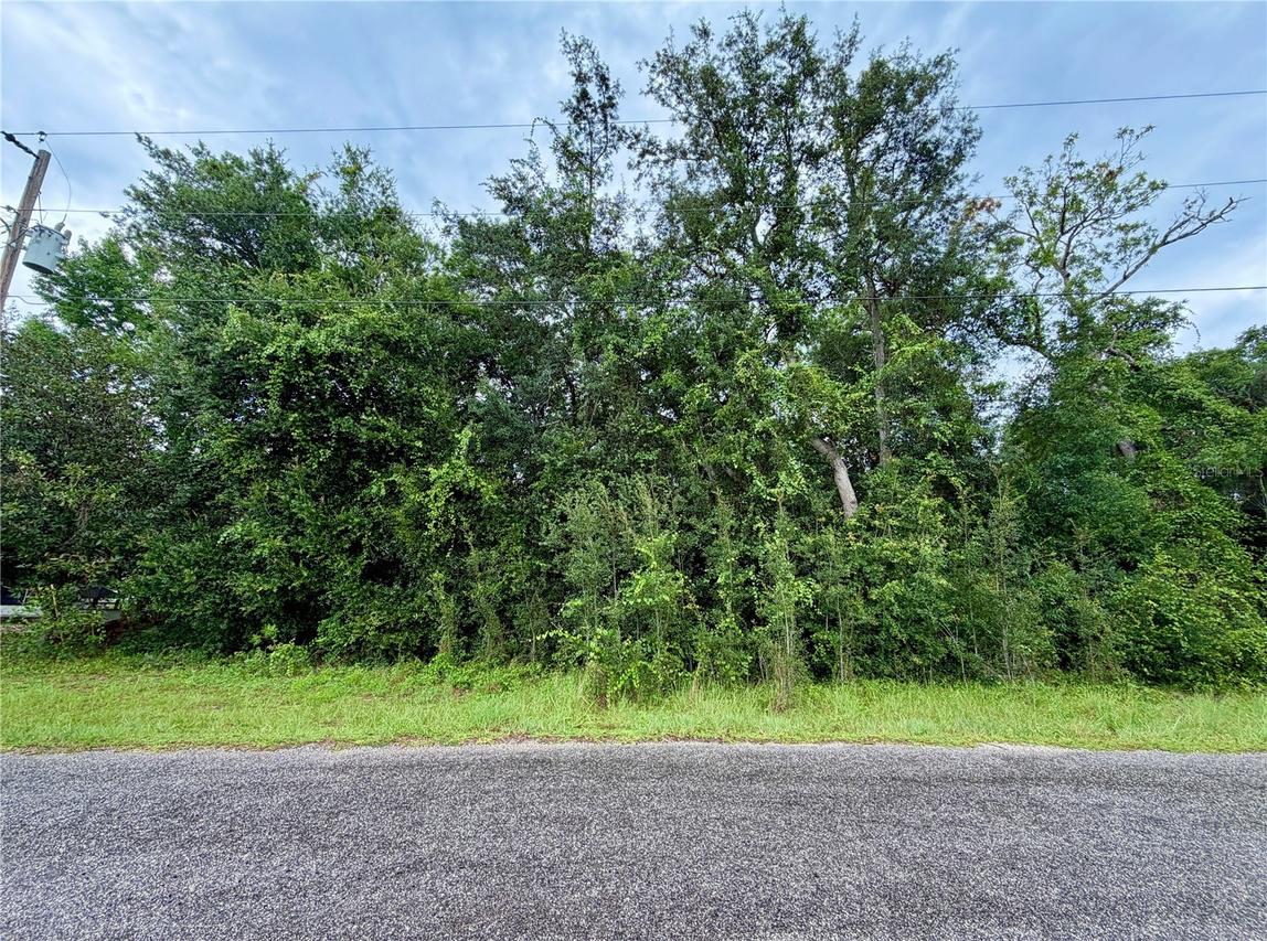 Se 175th Ter Rd, Silver Springs, FL 34488
