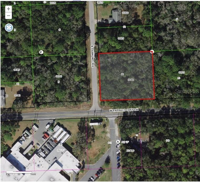 6323 N Diamond Ter., Crystal River, FL 34428