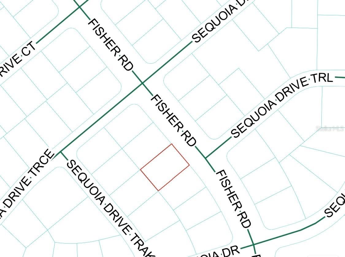 Fisher Rd., Ocklawaha, FL 32179