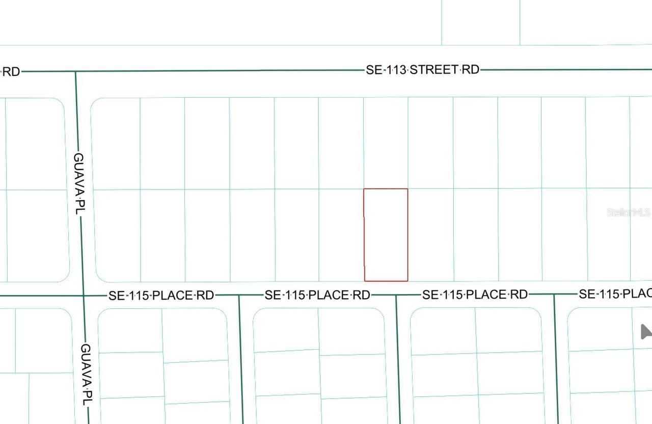 SE 115 Place Rd., Ocklawaha, FL 32179
