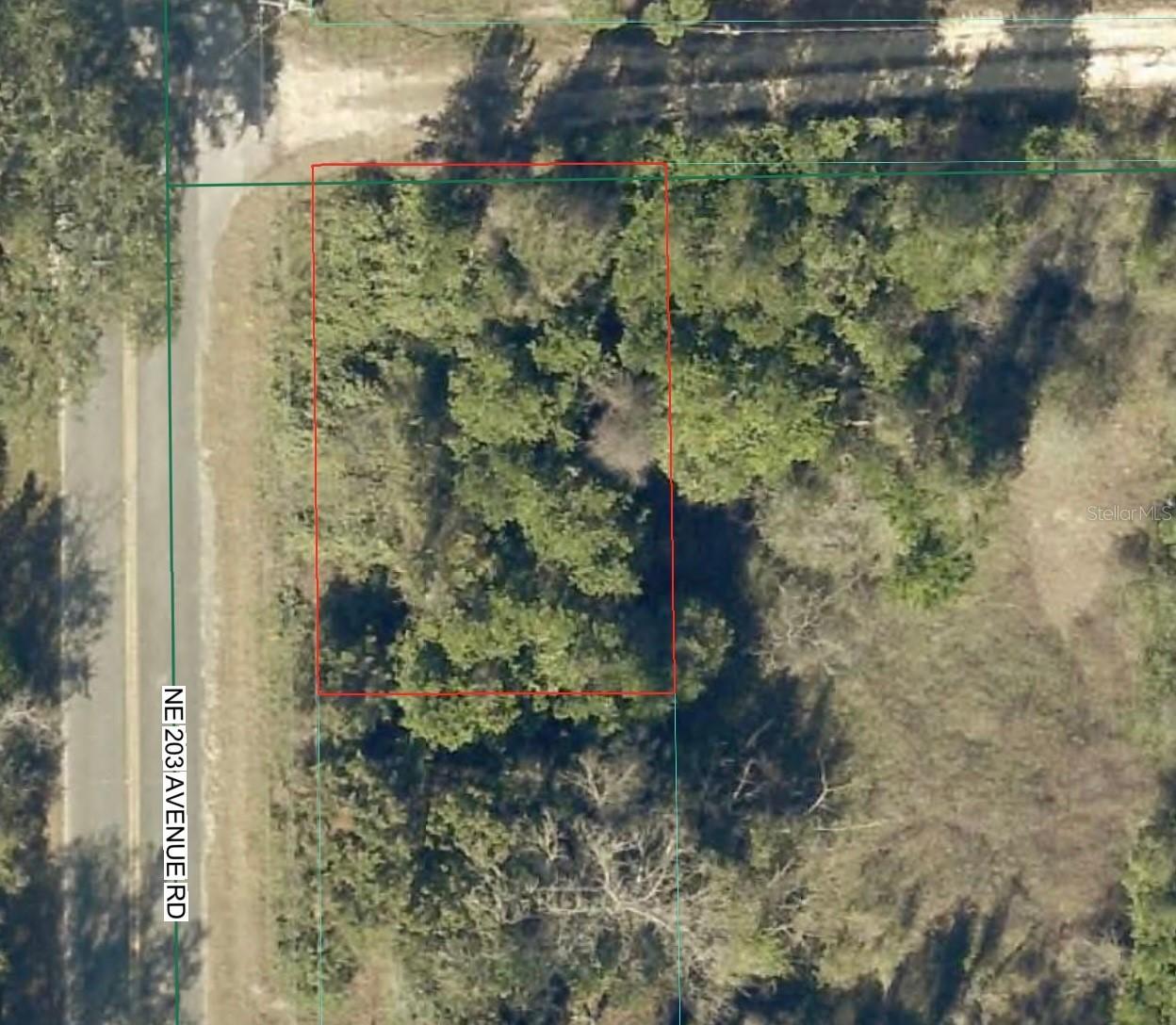 TBD NE 143 Ln., Fort Mc Coy, FL 32134