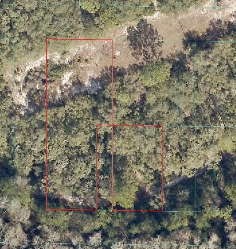 NE 151 Ln., Fort Mc Coy, FL 32134