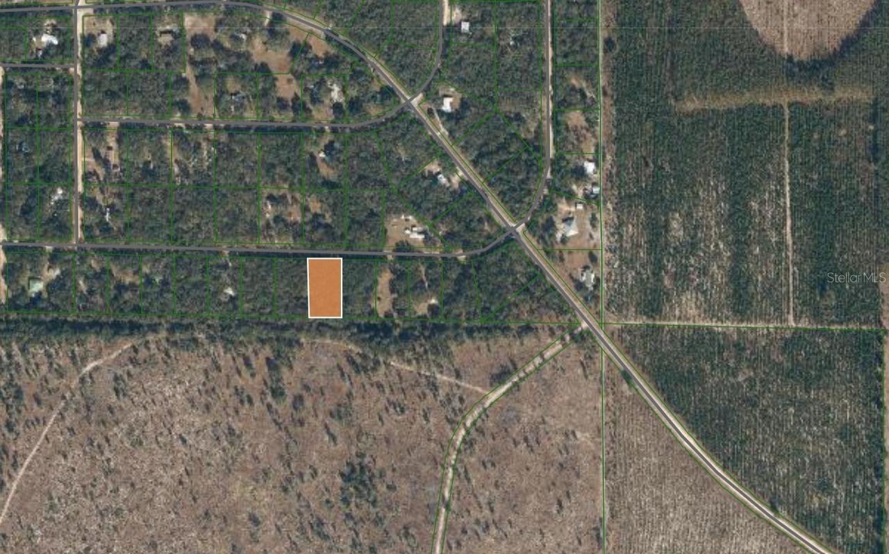 119 Magnolia Rd., Hawthorne, FL 32640