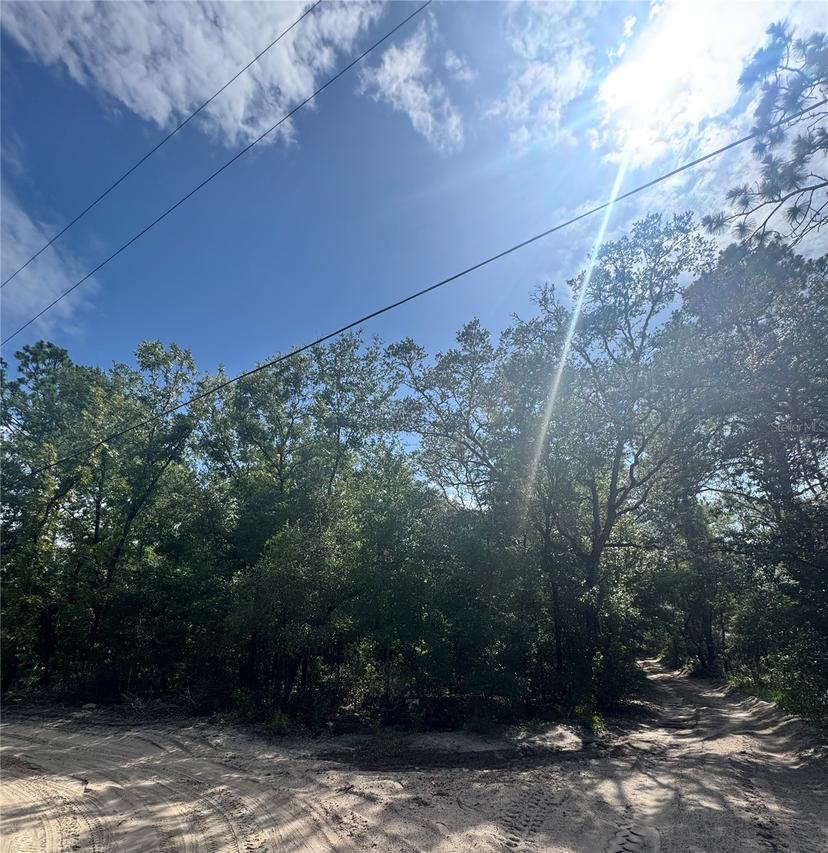 TBD SW 65th Ave., Dunnellon, FL 34432