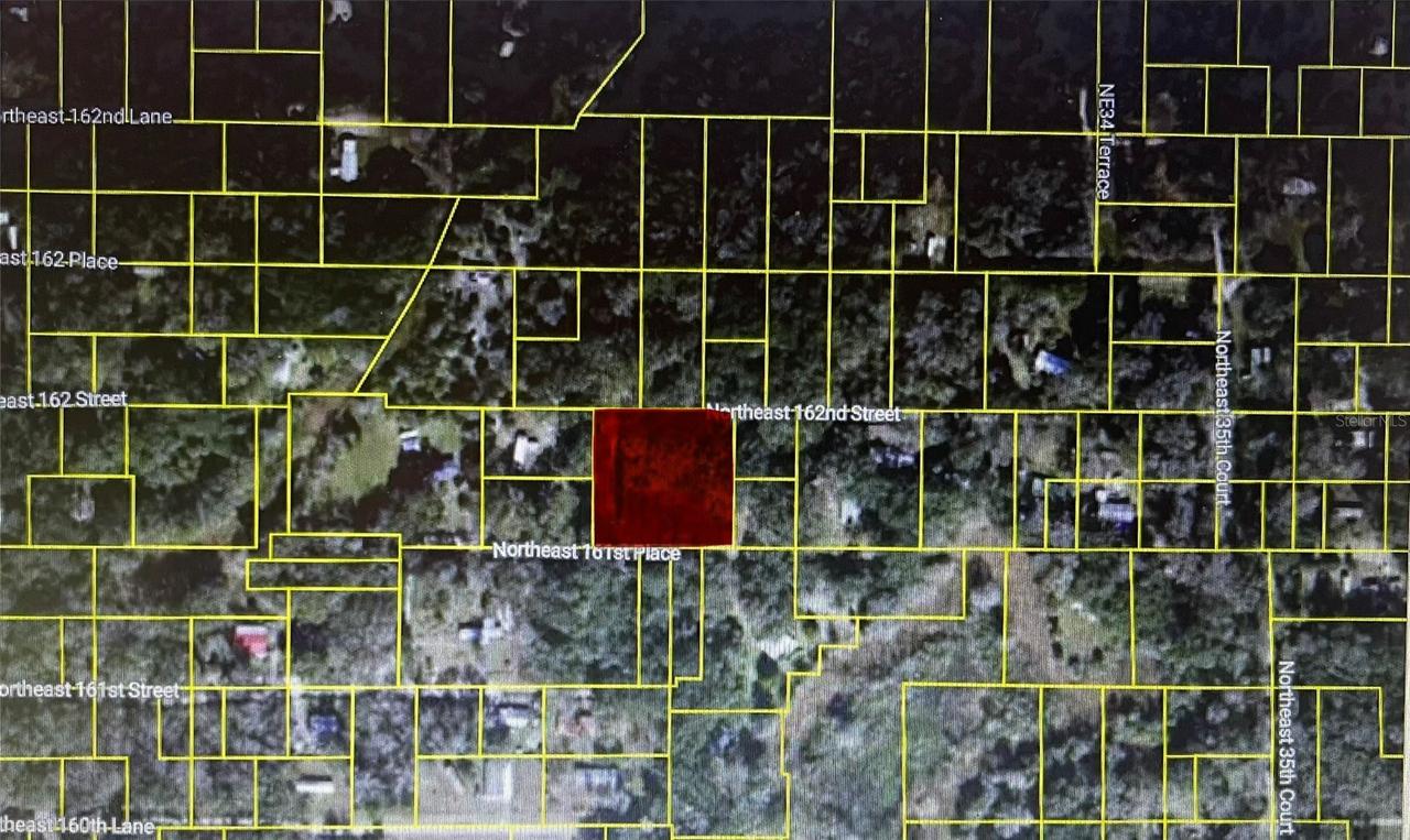 TBD NE 163rd Place, 19.20 Pl., Citra, FL 32113