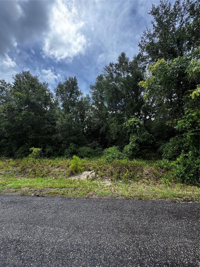 00 SE 115th Place Rd., Ocklawaha, FL 32179