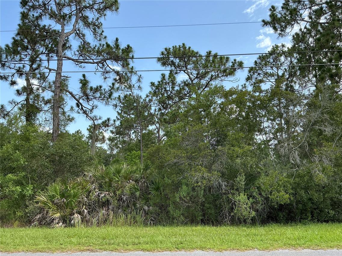 LOT 21 Peabody St., Orlando, FL 32833