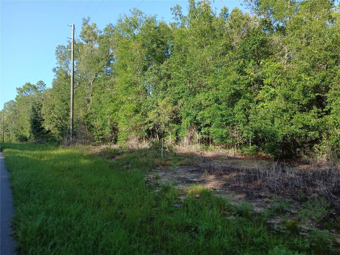 10762 N Academy Dr., Citrus Springs, FL 34434