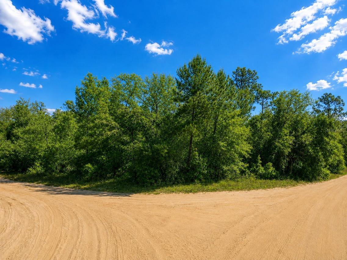TBD Dogwood Dr., Interlachen, FL 32148