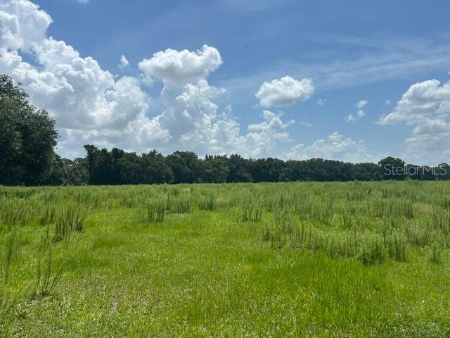 Se 34th Way, Sumterville, FL 33585