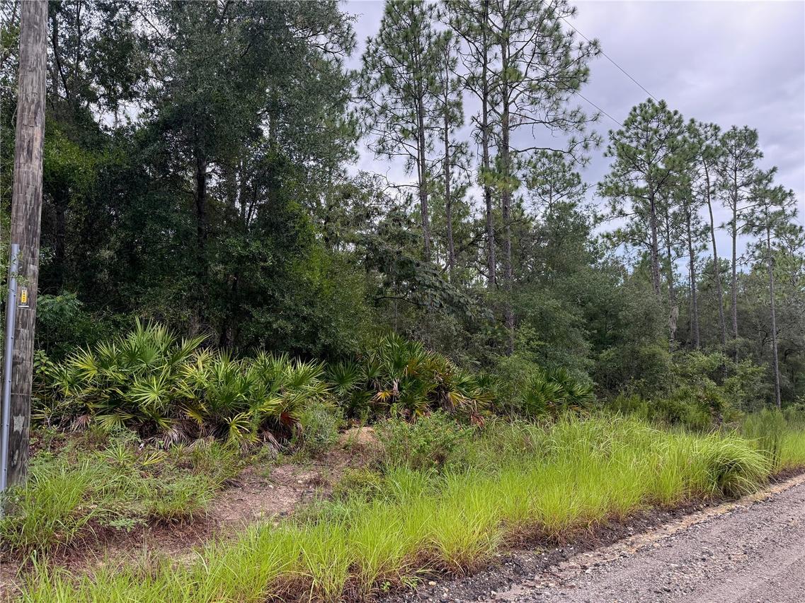 175 Ct., Dunnellon, FL 34432
