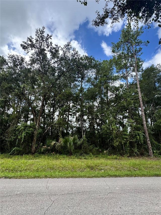 TBD NE 225th St., Fort Mc Coy, FL 32134