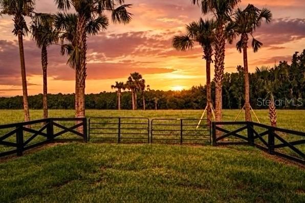 TBD Hwy 329, Reddick, FL 32686